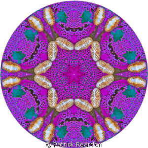 If the kaleidoscopic image is created with a big enough "... by Patrick Reardon 